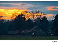 20110107_0001 1